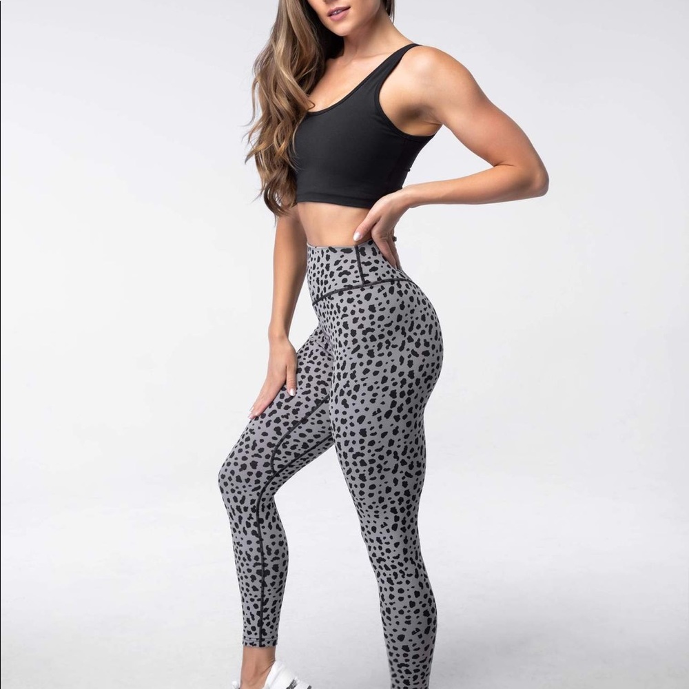 Ascend Pant Snow Leopard-Midnight